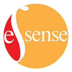ESSense